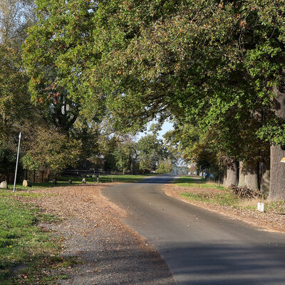 Bild vergr&ouml;&szlig;ern: Hestedt
