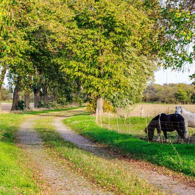 Bild vergr&ouml;&szlig;ern: B&uuml;ssen