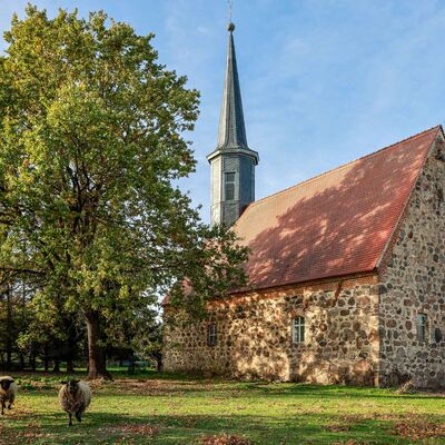 Bild vergr&ouml;&szlig;ern: Seeben