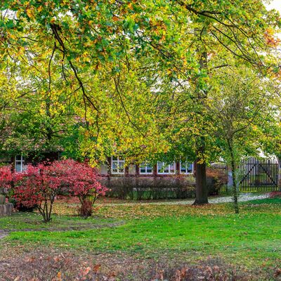 Bild vergr&ouml;&szlig;ern: Dambeck