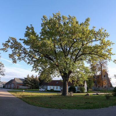 Bild vergr&ouml;&szlig;ern: Henningen