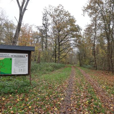 Bild vergr&ouml;&szlig;ern: IMG_8129