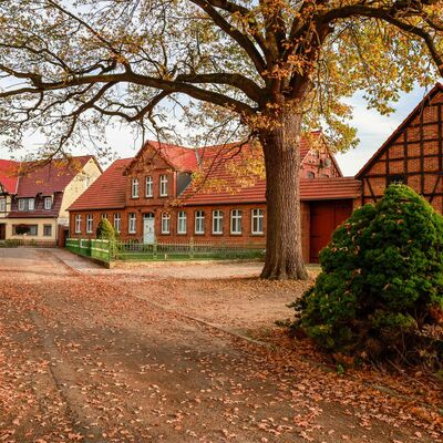 Bild vergr&ouml;&szlig;ern: Gro&szlig; Wieblitz