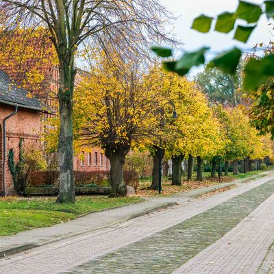 Bild vergr&ouml;&szlig;ern: Klein Gartz