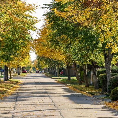 Bild vergr&ouml;&szlig;ern: Ritze