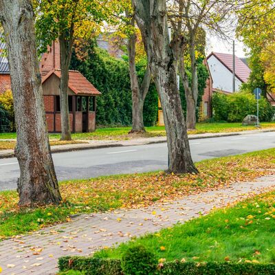 Bild vergr&ouml;&szlig;ern: Stappenbeck