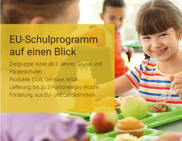 Bild vergr&ouml;&szlig;ern: Kitas und Schulen k�nnen sich f�r das EU-Programm bewerben
