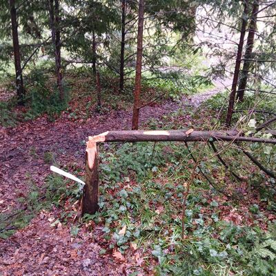 Bild vergr&ouml;&szlig;ern: Es ist Anzeige erstattet worden