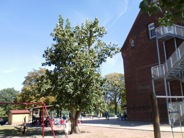 Bild vergr&ouml;&szlig;ern: Perver Grundschule