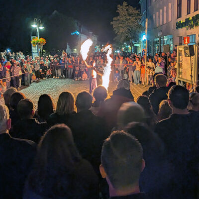 Bild vergr&ouml;&szlig;ern: Lichtbl�tenfest01
